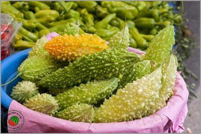 Chikungunya chá melao de são caetano