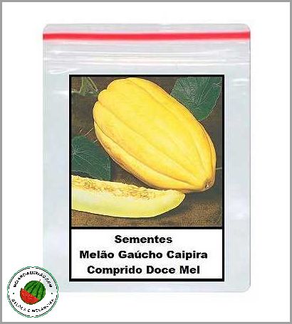 Cnae pantar milho feijao melao maracuja