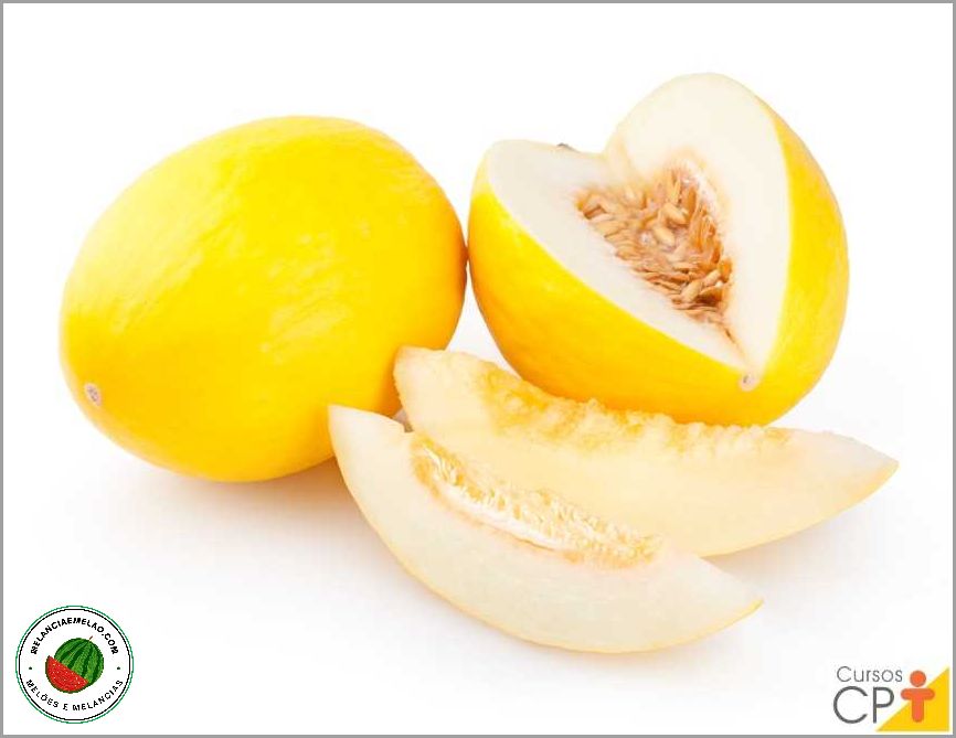 Cnae pantar milho feijao melao maracuja