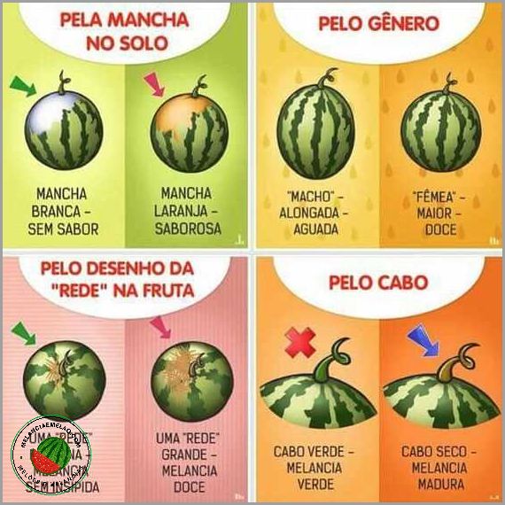 Como escolher a melhor melancia para aproveitar o verão ao máximo