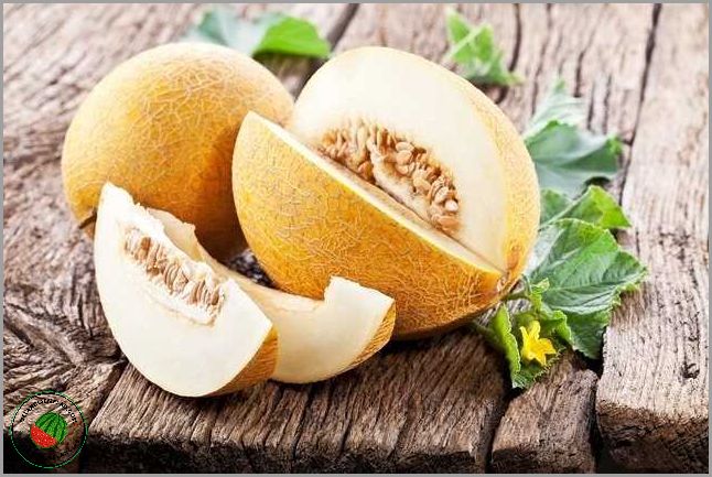 Melão é um remédio natural para combater a constipação