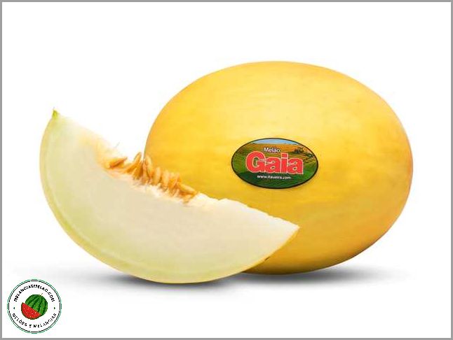 Melão Amarelo Cepi - Benefícios, Receitas e Dicas para Aproveitar ao Máximo essa Deliciosa Fruta Verão